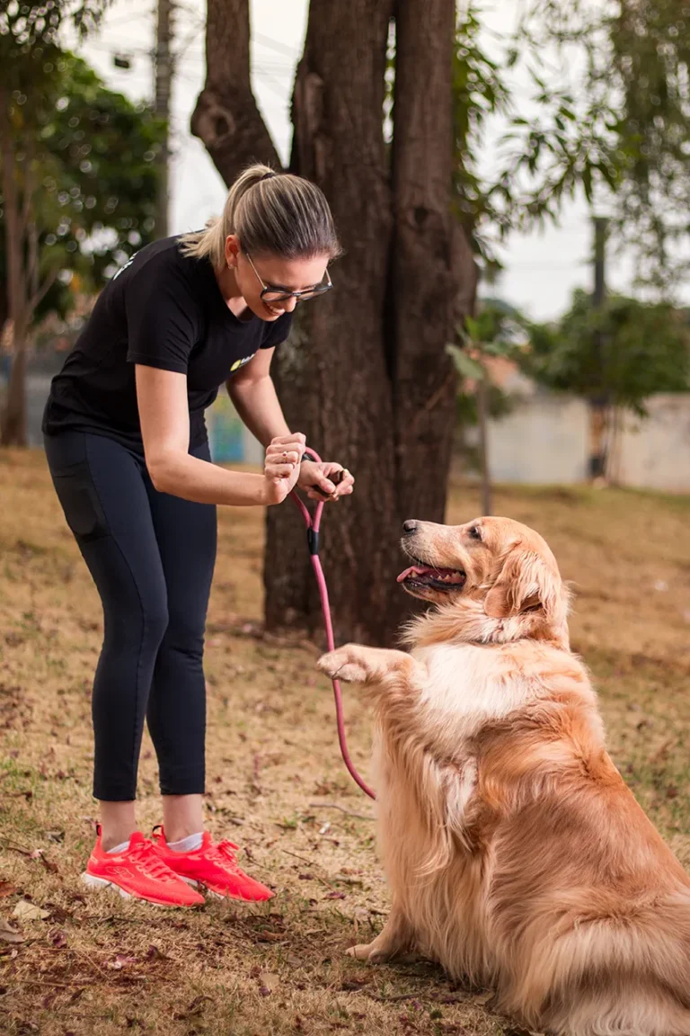 Adestradora Keila Rocha com um pet Golden Retrivier dando a patinha.