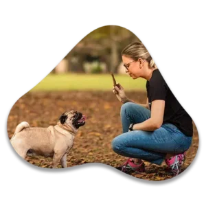 Adestradora Keila Rocha brincando com um Pug.