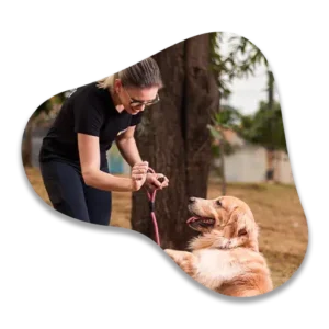 Adestradora Keila Rocha brincando com um Golden Retrivier.