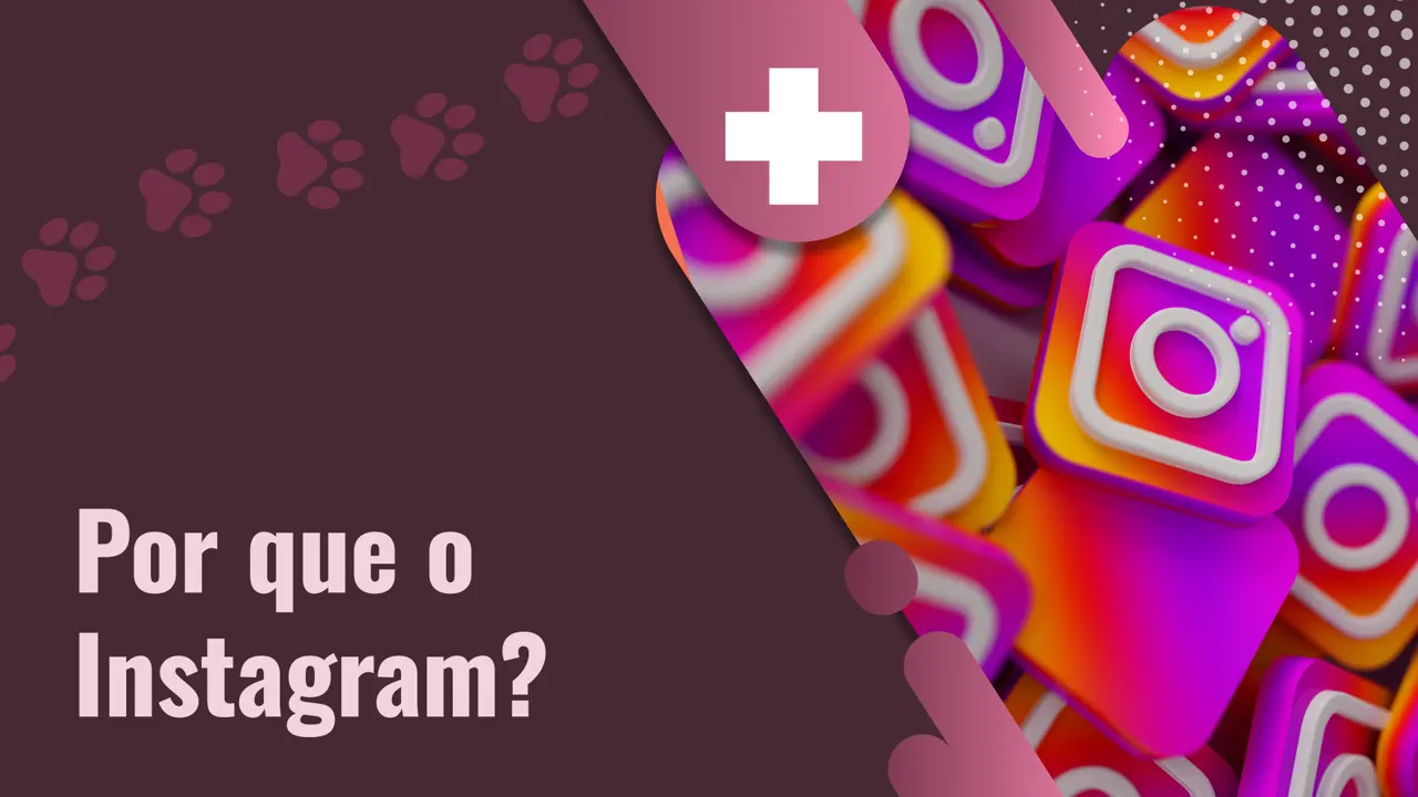 porque-instagram